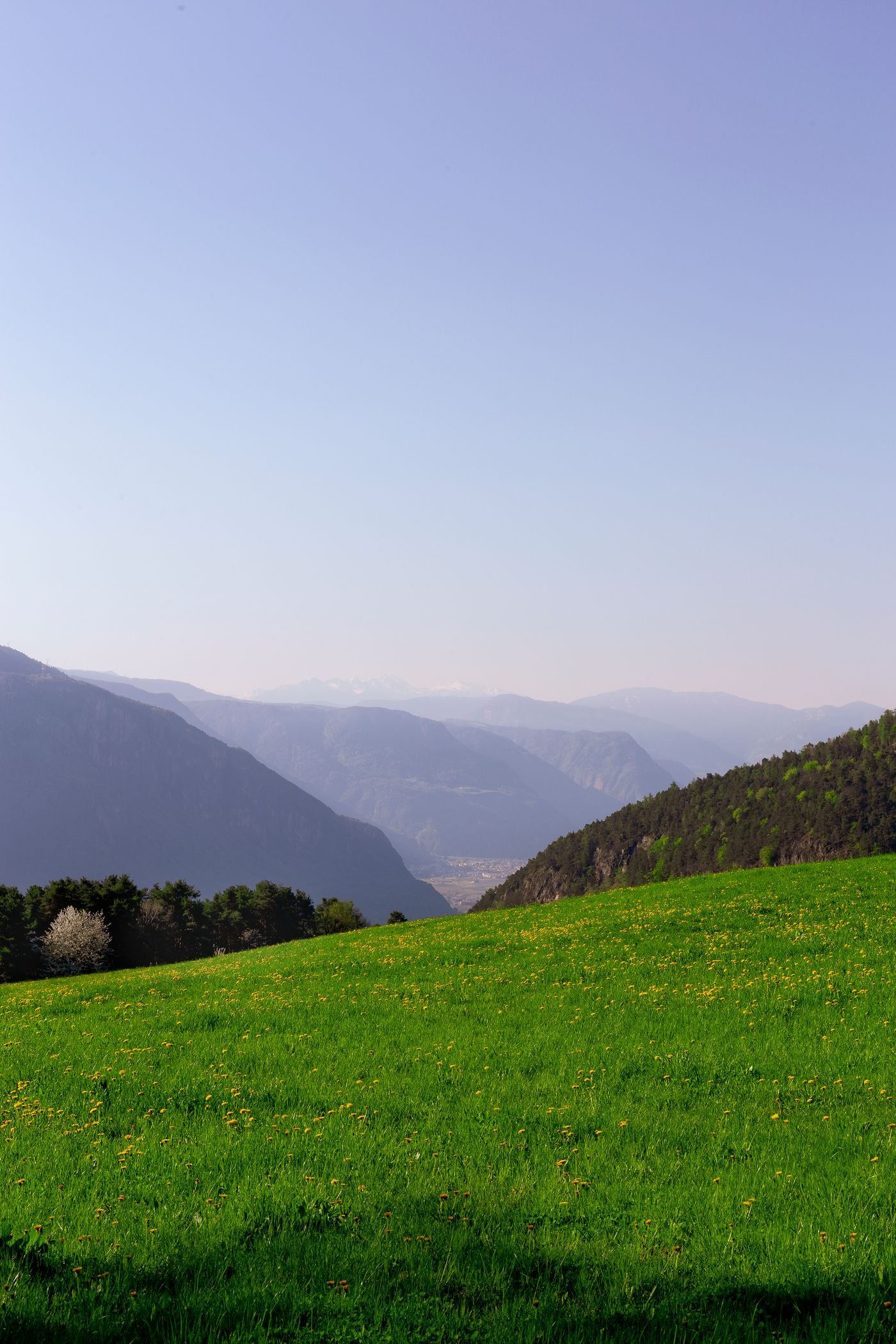 A calmer way to build your property shortlist